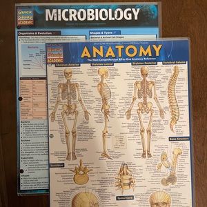 Anatomy & Microbiology QuickStudies